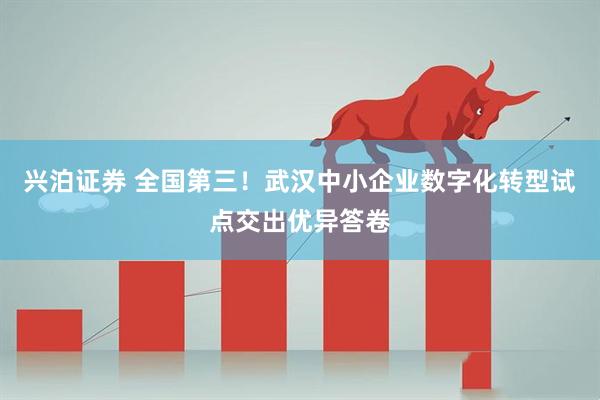 兴泊证券 全国第三！武汉中小企业数字化转型试点交出优异答卷