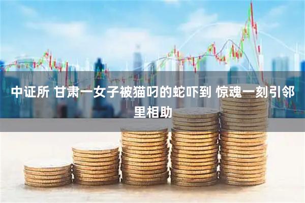 中证所 甘肃一女子被猫叼的蛇吓到 惊魂一刻引邻里相助